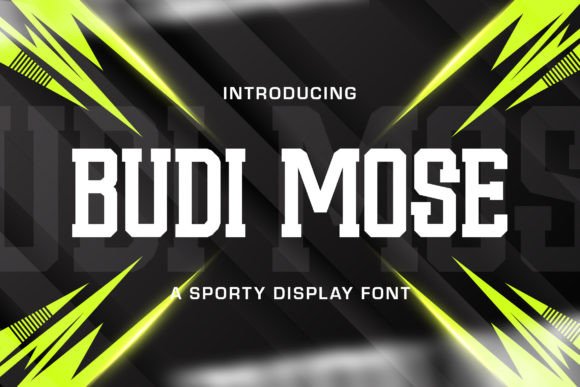 Budi Mose: A Modern Sans Serif Font for Web Design