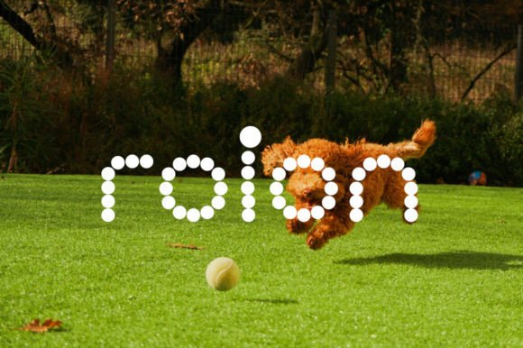 Roinert Display Font for Joyful Campaigns